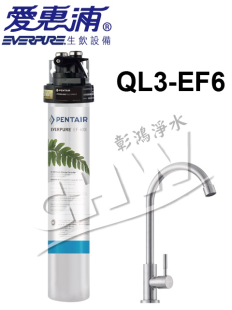 愛惠浦EVERPURE全流量強效濕式碳纖維淨水器(含濾心) QL3-EF6000*原廠NSF認證龍頭