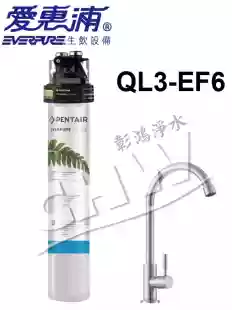 愛惠浦EVERPURE全流量強效濕式碳纖維淨水器(含濾心) QL3-EF6000*原廠NSF認證龍頭
