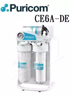 CE6A-DE 直輸型 RO 純水機 600G 加侖 ★搭配8088認證龍頭★