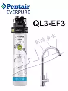 愛惠浦EVERPURE家用抑垢型淨水器(含濾心) QL3-EF3000*原廠NSF大流量龍頭 *