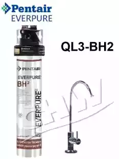 愛惠浦EVERPURE家用抑垢型淨水器(含濾心) QL3-BH2*原廠NSF認證龍頭 *